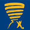 2014 Coupe de la Ligue Logo